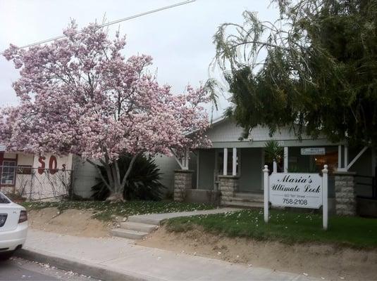 Maria's Ultimate Look