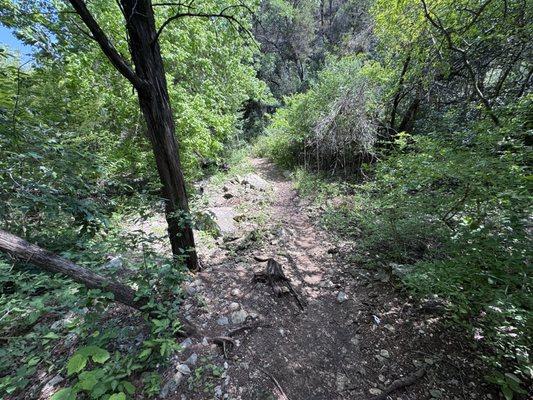 Barton Creek Greenbelt