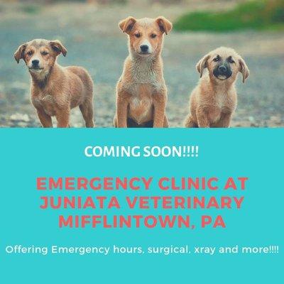 Coming soon!!! Juniata Veterinary will be offering emergency services! More info to come.