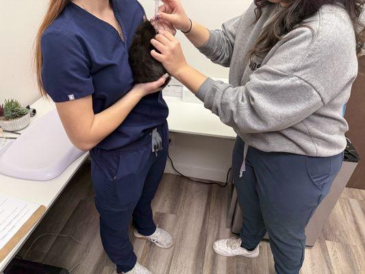 Better prices than the shelter!!