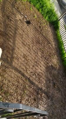 Cya Property Management LLC