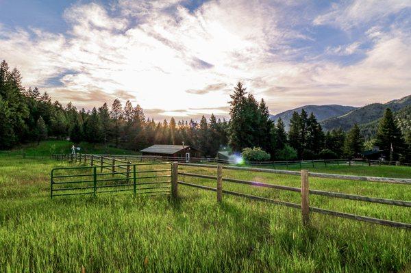 Heidi Stahl - Engel & Völkers