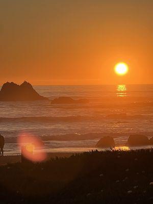 The Cayucos Experience