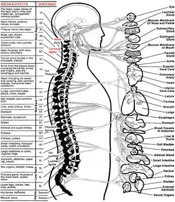 Rabines Chiropractic