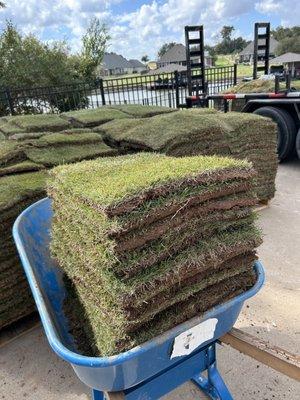 Y&Y Outdoor Services