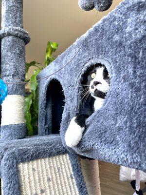 Bella’s Buddha Boutique