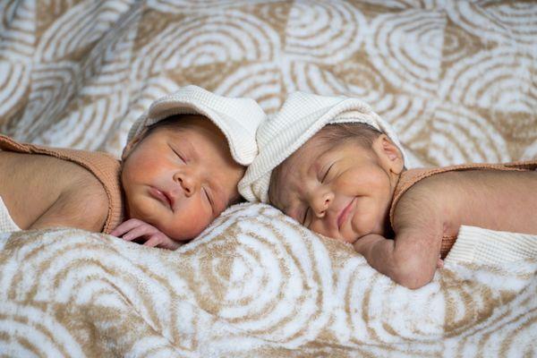 Sunflower Studio Texas