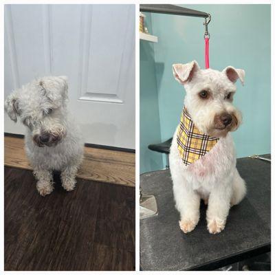 Before and After