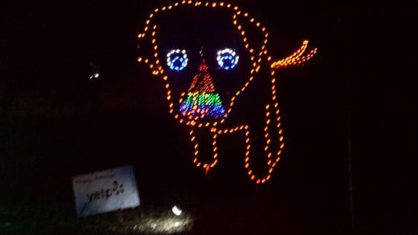 Yelpers represented!! Holiday Lights event.