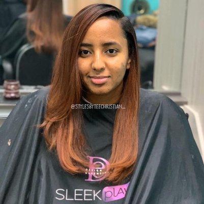 Custom Color & Silk Press