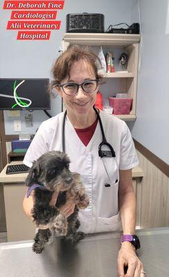 Alii Veterinary Hospital