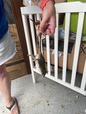 Springtown Self Storage