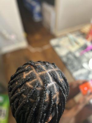 Medium Box Braids