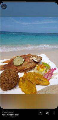 El Camino feliz Restaurant