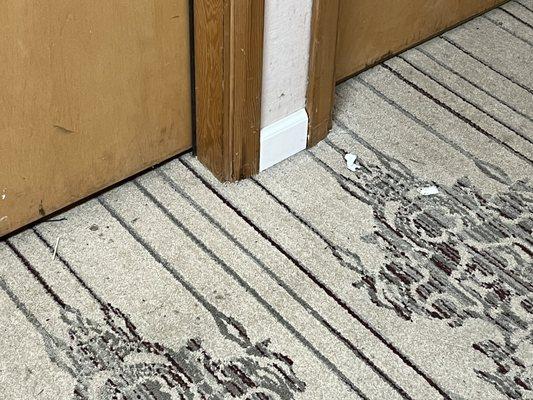 Debris on the interior hall rugs. Never cleaned while we were there.
