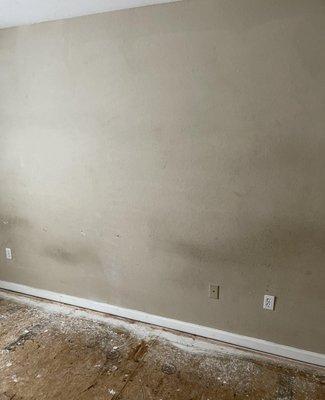 Bradwell’s Cleaning Services