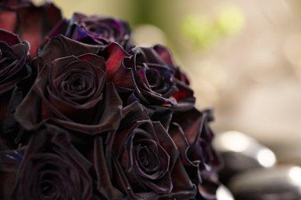 Black Baccara Designs