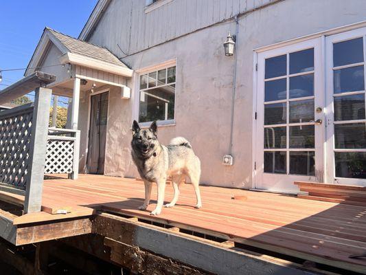 Garcia Fencing Landscaping & Tree Service