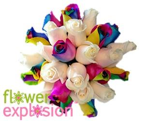 FlowerExplosion