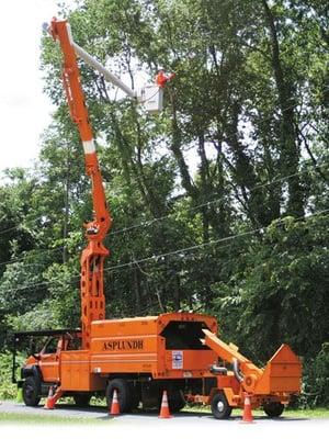 Utility Tree Service