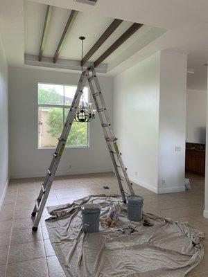 Master Cleaning and Painting