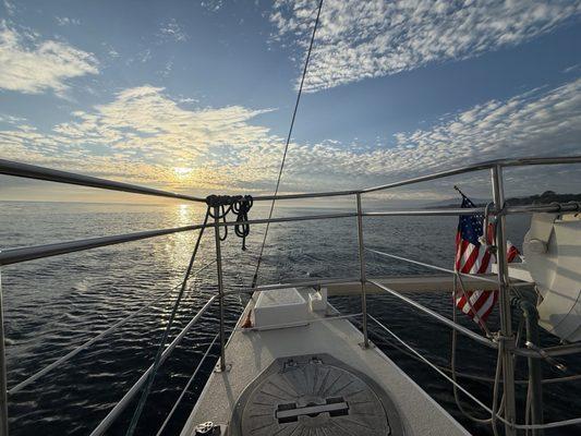 Double Dolphin Cruises