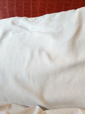 A black curly hair on our bed sheets (my wife is blonde and I have very short hair)