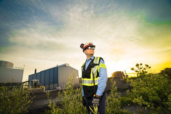 Vanguard Media Group