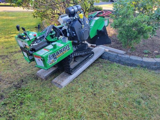 Eagles Stump Grinding