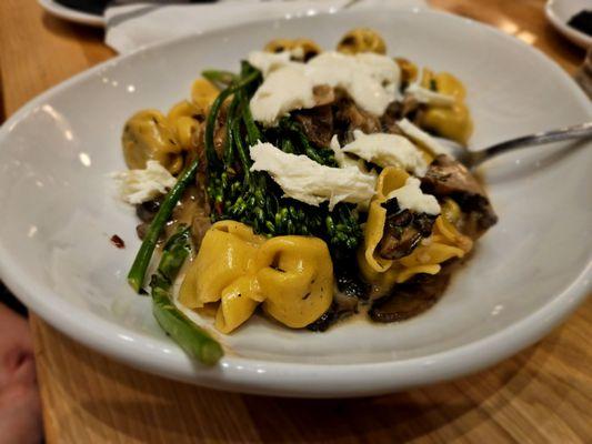 Wild Mushroom Sacchetti