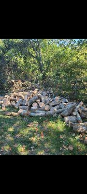 Greenville lawn care & Tree Services