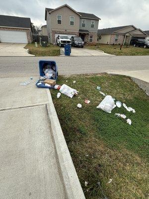 Live Oak Environmental