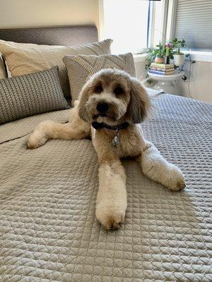 Maizee Grace feeling good after seeing Jenni!!