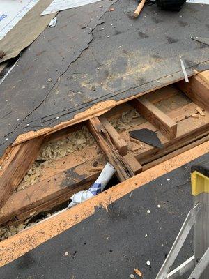 Loyola Live Solar Constructions