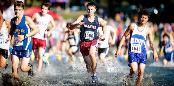 Lawrence Maurer, DPM