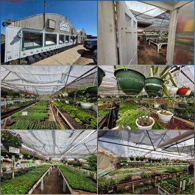 Al's Pine Garden & Nursery