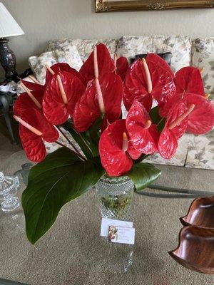 Green Point Nurseries