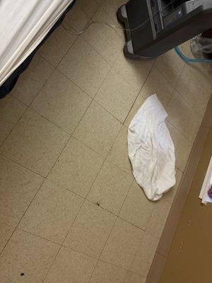 Interlochen Health and Rehabilitation Center