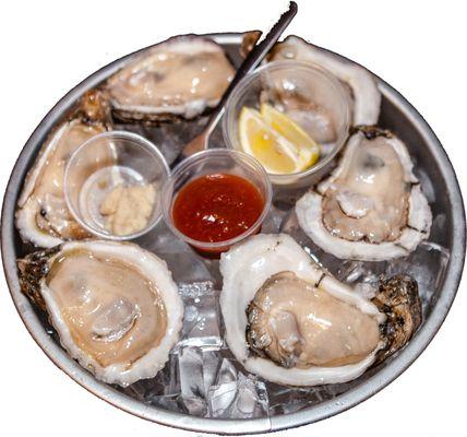 Oysters