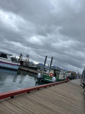 City of Homer Port & Harbor