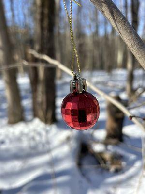 Winter surprises at their best