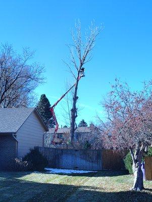 Our Family Tree Service