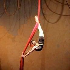 Xelias Aerial Art School
