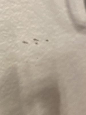 Additional Scratches