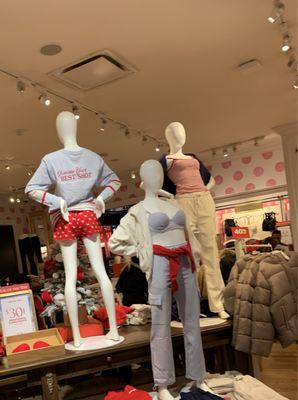 Victoria's Secret & PINK