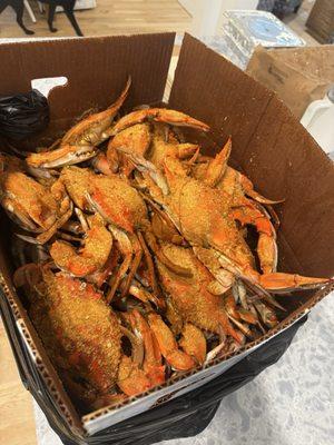 Crabs