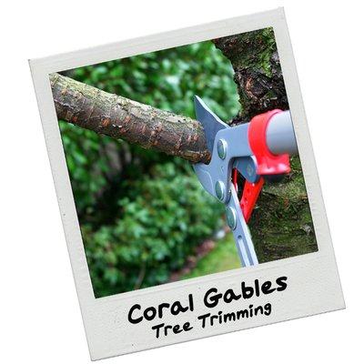 Landscaping Coral Gables