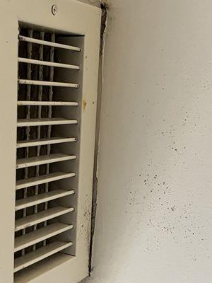 Mold or something similar on the ceiling.