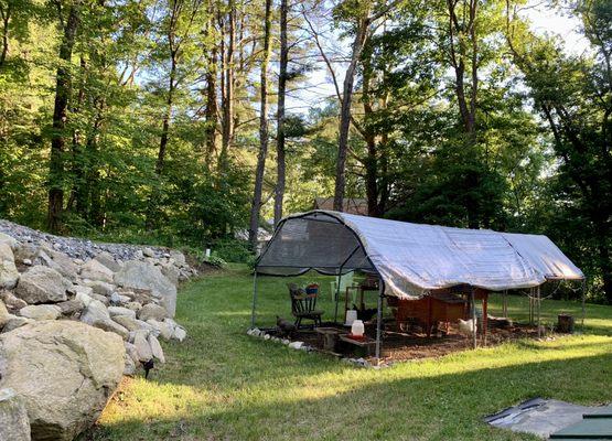 Dewey Pest and Wildlife