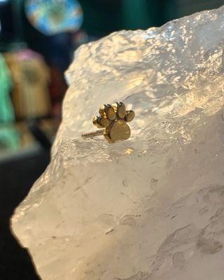 14k gold Paw print threadless jewelry top
#piercings #helixpiercing #earpiercing #goldjewelry